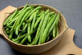 Dwarf French Bean - CARUSO