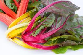  SWISS CHARD RAINBOW MIX