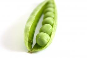 PEA - VIRGES