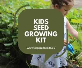 Kids Seed Pack