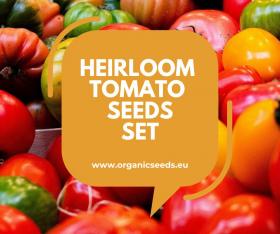  Heirloom Tomato Garden Variety Pack of 11