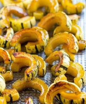 SQUASH - DELICATA