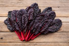 Swiss chard Roscho - Red Stems