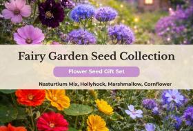 Fairy Garden Seed Collection