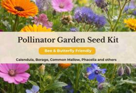 Pollinator Garden Seed Kit (Bee & Butterfly Friendly)