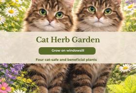 Cat Herb Garden