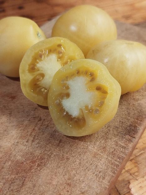 Packet - Tomato MIRABELLE BLANCHE, organic seed, heirloom