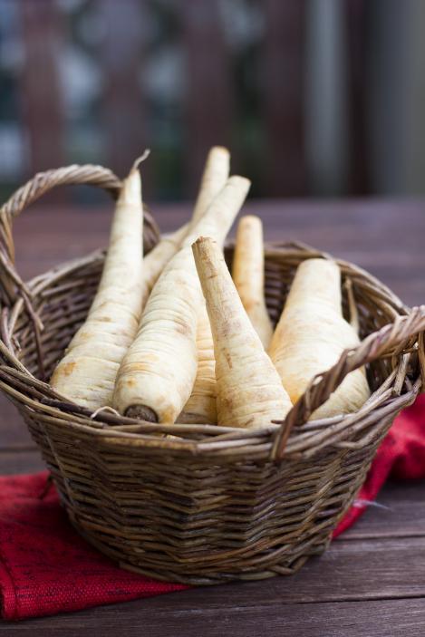 Packet - PARSNIP - TENDER AND TRUE, organic seed