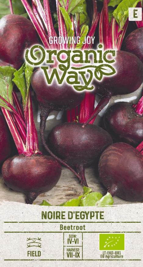 Packet - BEETROOT NOIRE D'EGYPTE, organic seed, heirloom