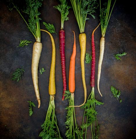 Packet - CARROT MIX RAINBOW, organic seed