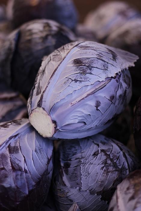 Packet - CABBAGE - AMARANT, organic seed, heirloom