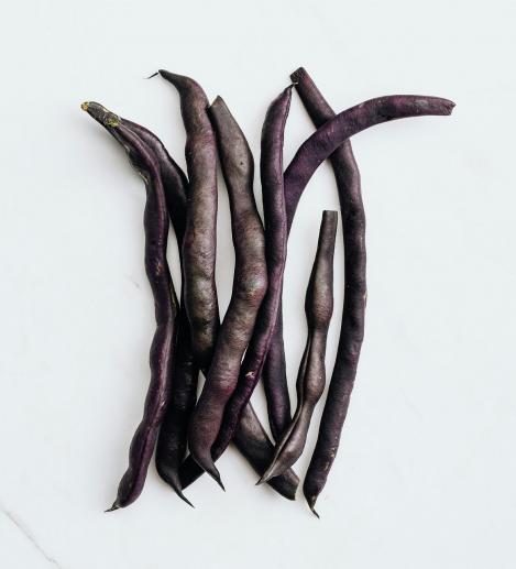 Packet - RUNNER BEAN - BRUNHILDE, organic seed, heirloom