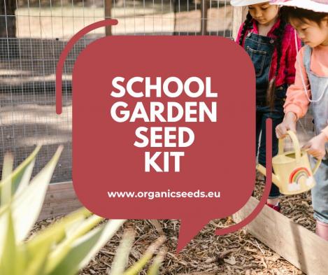 Packet - School garden seed pack