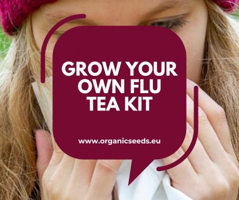 Packet - Grow Your Own Cold and Flu Tea Starter Pack, organic seed