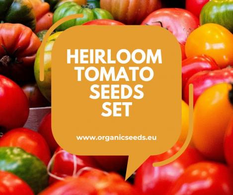 Packet - Heirloom Tomato Garden Variety Pack of 11, regular seed - not treated and non-gmo, heirloom