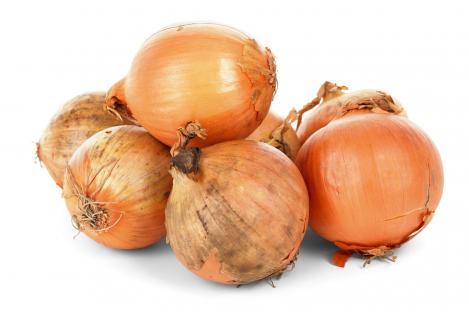 Packet - Onion seeds JÕGEVA 3, regular seed - not treated and non-gmo