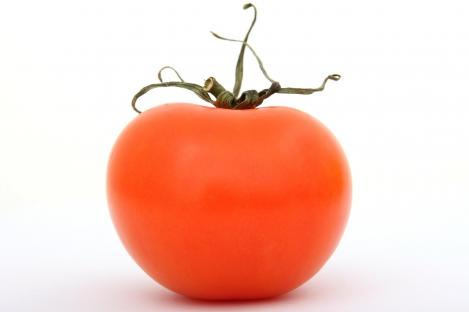 Packet - Tomato EVELLE, regular seed - not treated and non-gmo