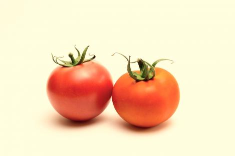 Packet - TOMATO - SIIVE, regular seed - not treated and non-gmo