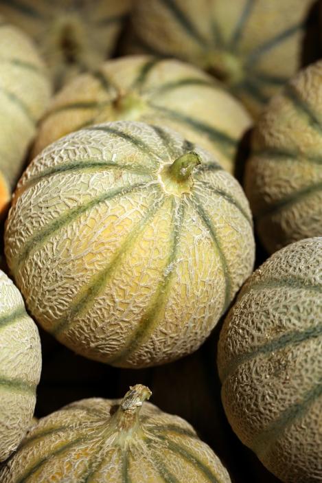 Packet - MELON - CHARENTAIS, organic seed