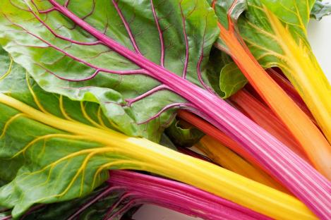 Packet - SWISS CHARD RAINBOW MIX, organic seed